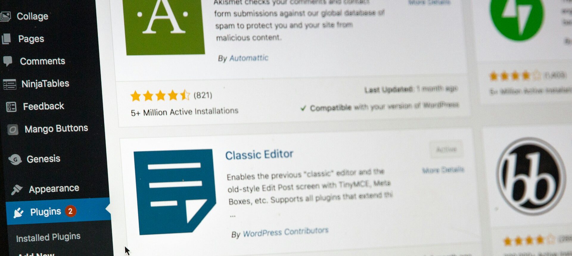 wordpress-2